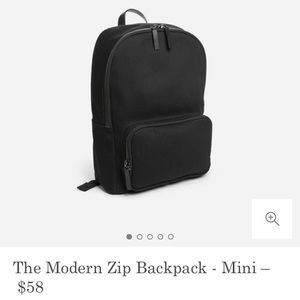 Everlane modern zip mini backpack